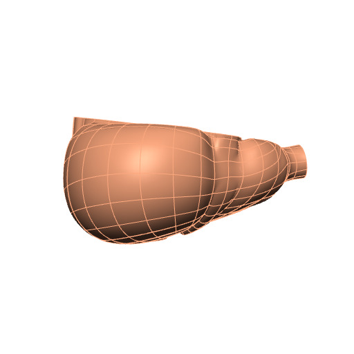 Rendering of the generic human cecum scaffold.