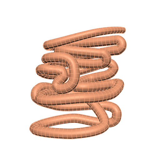 Rendering of the generic mouse small intestine scaffold.